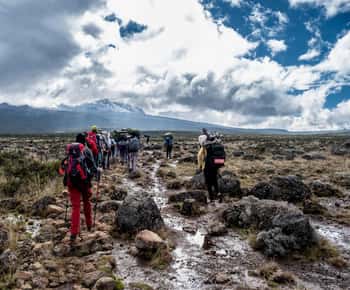 Moshi:Mount Kilimanjaro Day Hike with Mandara Hut Trek