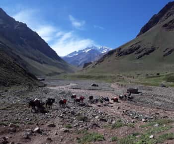 Mendoza: Trekking Campamento Confluencia Aconcagua