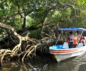 Van Veracruz: Natuur & Zeevruchten Rondvaart naar Madinga