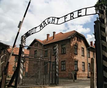 From Katowice: Auschwitz-Birkenau Skip-the-Line Guided Tour