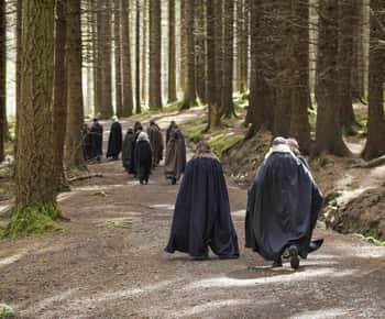 Newcastle: Spiel der Throne - Tollymore Forest Trek