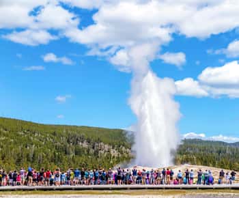From Jackson: Yellowstone Day Tour Including Entrance Fee