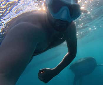 Cebu:Observação de tubarões-baleia em Oslob, canyoning em Kawasan
