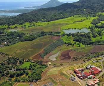 Mauritius: Wild Southwest Full-Day Tour with Lunch