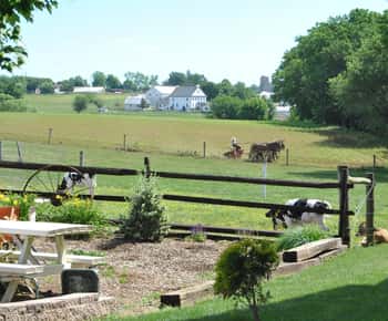 Lancaster : L'expérience amish : visite en personne de 3 fermes