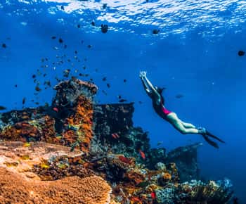 Amed: Snorkeling Trip to the Japanese Shipwreck