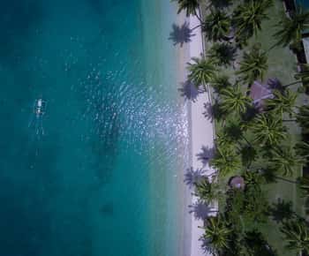 Port Barton: Island Hopping to Turtle Spot & Reef with Lunch