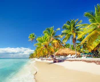 Bayahibe: Excursão de 1 Dia na Ilha de Saona