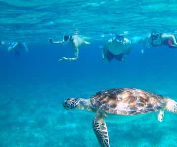 Caye Caulker: Hol-Chan Snorkeling & San Pedro Island Visit