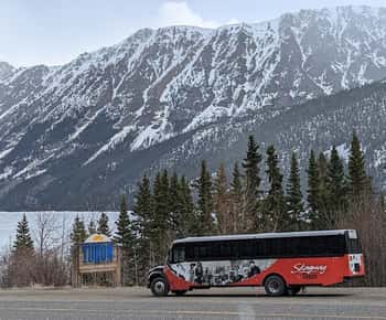 Skagway: Tour in autobus della Klondike Highway e dello Yukon con Husky Kennel