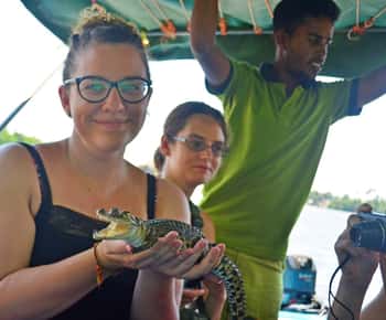 Bentota: Båtsafari på floden