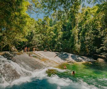 Desde Cairns: excursión Waterfall Wanderers con almuerzo.