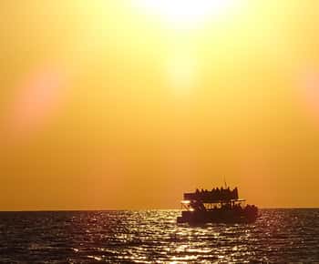 Panama City: Delfin-Kreuzfahrt bei Sonnenuntergang in der St. Andrews Bay