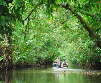 San José: Excursión de un día al Parque Tortuguero con desayuno y almuerzo