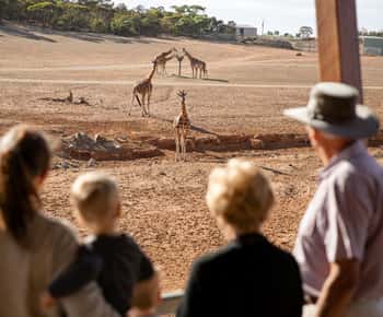 Parque Safari Monarto: Tickets de entrada general