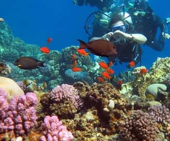 Da Sharm a Dahab: Canyon colorato, Blue Hole, Qude Bike, Cammelli