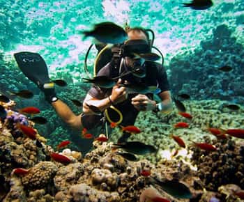 Da Sharm o Dahab: Esperienza di immersione nel Blue Hole e nel Canyon Sea