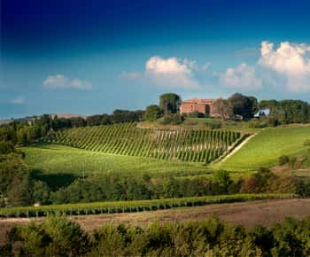 Montalcino: Brunello Weinverkostung