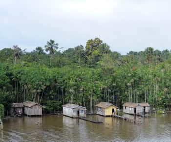 Belém: Full-Day Furos & Igarapé Boat Tour with Lunch