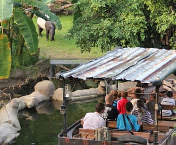 Leipzig: ônibus hop-on hop-off de 1 dia e ingresso para o zoológico de Leipzig