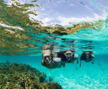 Mooloolaba: Snorkelezés a Mudjimba-sziget teknőseivel Mudjimba Island