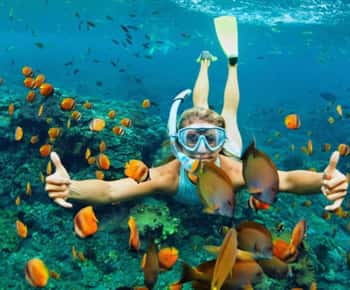 Hoi An: Snorkletur med hurtigbåt til Cham-øyene med lunsj