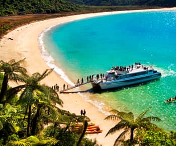 Abel Tasman: Scenic Cruise to Anchorage Bay from Kaiteriteri