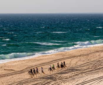 Melides: Ridning på stranden med vinprovning