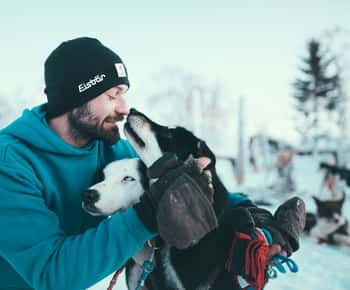 Tromsø: avventura in slitta trainata da cani husky con guida autonoma