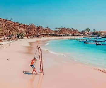 ピンクビーチ、西ヌサトゥンガラ チケット＆ツアー | ゲットユアガイド