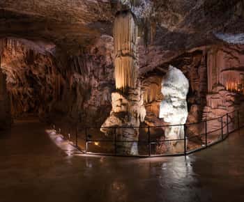 Ab Koper: 5-stündige Tour zur Höhle von Postojna und zur Burg Predjama