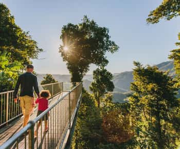 Parque Nacional Wooroonooran: Entrada al Mamu Tropical Skywalk