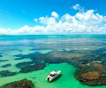 Praia de Paripueira Beach Day Tour