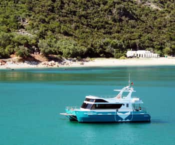 Setúbal: Passeio de observação de golfinhos