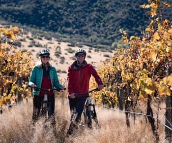 Queenstown: Self-Guided Gibbston Valley Wineries Bike Tour