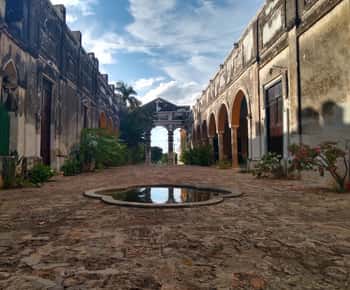 From Merida: Uxmal, Hacienda Yaxcopoil and Cenote with Lunch