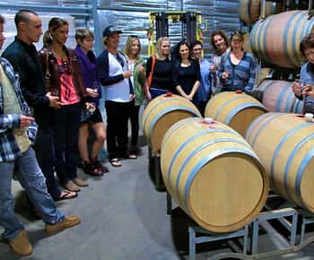 From Dunsborough/Busselton: Margaret River Wine Adventure