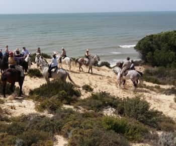 Passeio a cavalo no Parque Nacional de Doñana