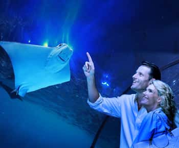 Aquarium Guided Twilight Tour with 3-Course Dinner
