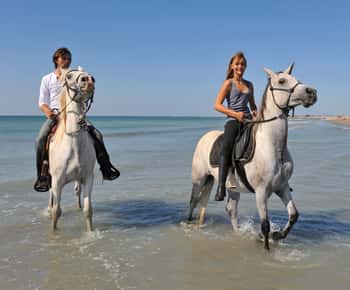 Bodrum: Experiência de passeio a cavalo com transporte do hotel
