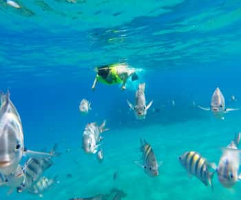 Snorkeling Tour & Sosua Beach Day