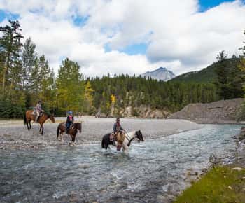 Park Narodowy Banff: 1-godzinna przejażdżka konna po rzece Spray