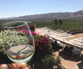 Vanuit Tijuana: Valle de Guadalupe privétour door de wijnmakerij