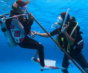 Naha, Okinawa: Kerama Islands Full-Day Intro-Diving Trip
