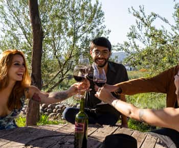 Terroir Soul : Rencontrez l'essence des huiles d'olive et des vins de Maipú