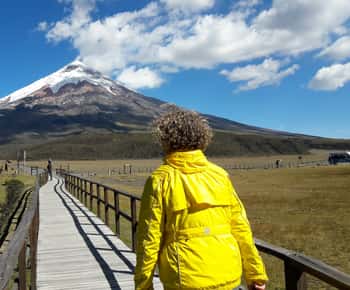 De Quito: Excursão de 1 dia ao Parque Nacional Cotopaxi com caminhada