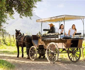 Private Colchagua Valley Wine Tour Icons, Elegance & Flavors