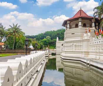 Da Colombo: Tour All-Inclusive di 2 giorni di Kandy e Nuwara Eliya