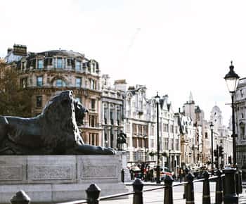 De Westminster a Trafalgar: Visita aos pontos altos da história de Londres