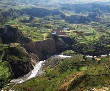 From Puno to Arequipa: 2 Days/1 Night Colca Canyon Tour